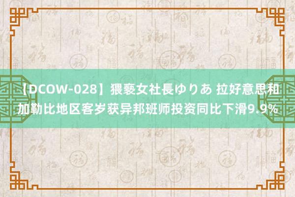 【DCOW-028】猥褻女社長ゆりあ 拉好意思和加勒比地区客岁获异邦班师投资同比下滑9.9%