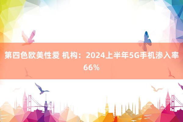 第四色欧美性爱 机构：2024上半年5G手机渗入率66%