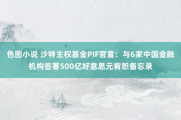 色图小说 沙特主权基金PIF官宣：与6家中国金融机构签署500亿好意思元宥恕备忘录