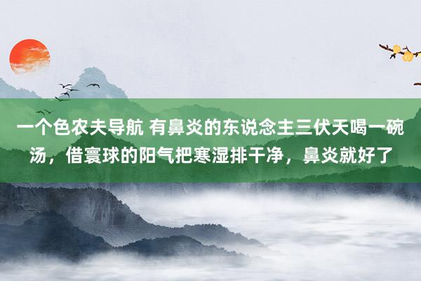 一个色农夫导航 有鼻炎的东说念主三伏天喝一碗汤，借寰球的阳气把寒湿排干净，鼻炎就好了