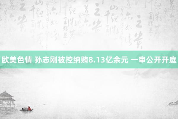 欧美色情 孙志刚被控纳贿8.13亿余元 一审公开开庭