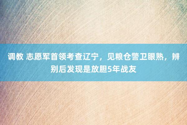 调教 志愿军首领考查辽宁，见粮仓警卫眼熟，辨别后发现是放胆5年战友