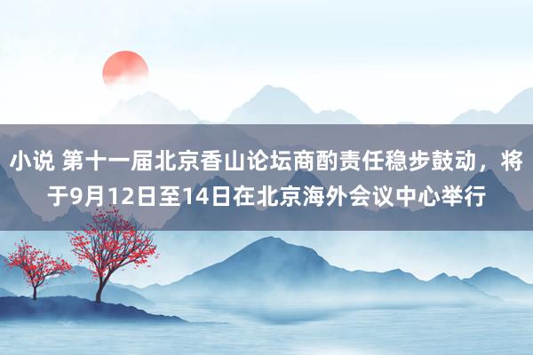 小说 第十一届北京香山论坛商酌责任稳步鼓动，将于9月12日至14日在北京海外会议中心举行