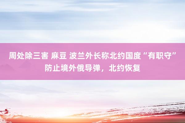 周处除三害 麻豆 波兰外长称北约国度“有职守”防止境外俄导弹，北约恢复