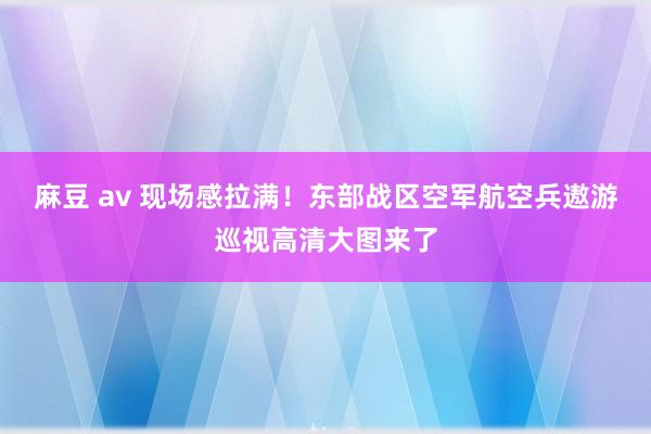 麻豆 av 现场感拉满！东部战区空军航空兵遨游巡视高清大图来了