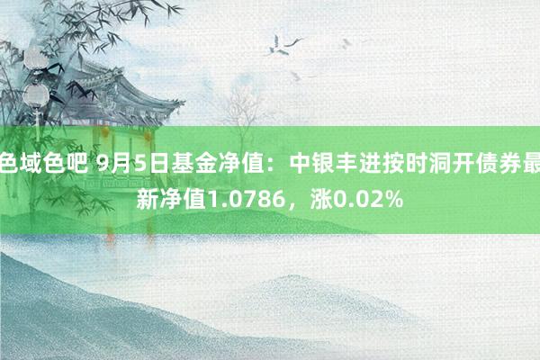 色域色吧 9月5日基金净值：中银丰进按时洞开债券最新净值1.0786，涨0.02%