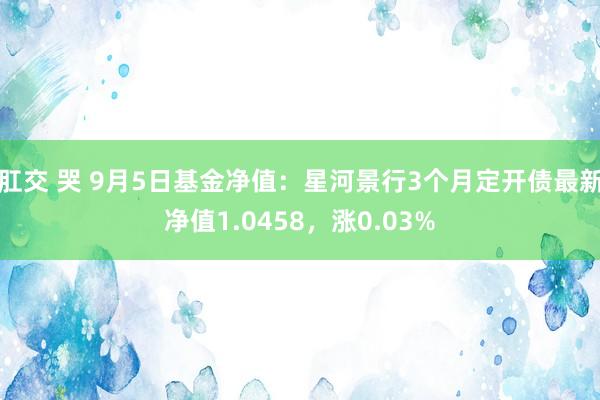 肛交 哭 9月5日基金净值：星河景行3个月定开债最新净值1.0458，涨0.03%