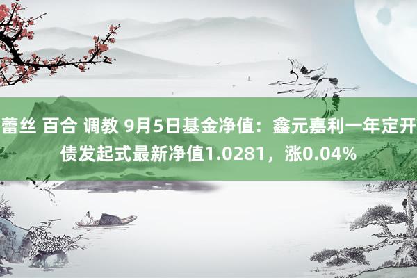 蕾丝 百合 调教 9月5日基金净值：鑫元嘉利一年定开债发起式最新净值1.0281，涨0.04%