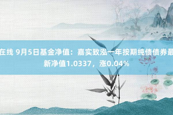 在线 9月5日基金净值：嘉实致泓一年按期纯债债券最新净值1.0337，涨0.04%