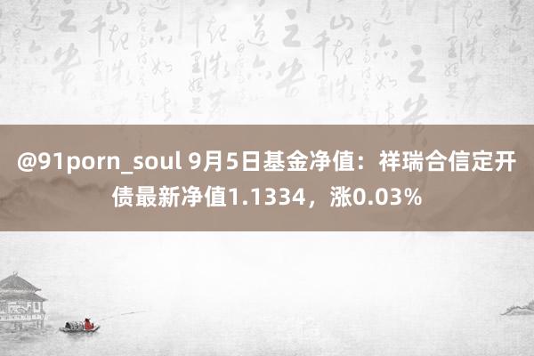 @91porn_soul 9月5日基金净值：祥瑞合信定开债最新净值1.1334，涨0.03%