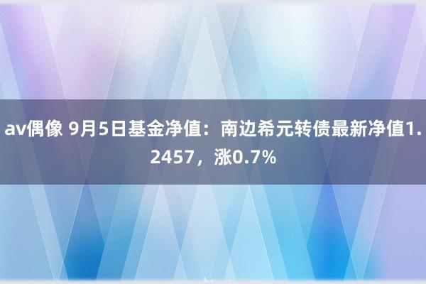 av偶像 9月5日基金净值：南边希元转债最新净值1.2457，涨0.7%