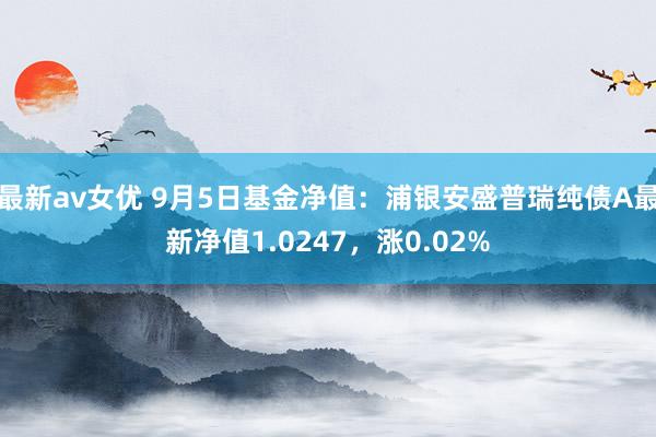 最新av女优 9月5日基金净值：浦银安盛普瑞纯债A最新净值1.0247，涨0.02%