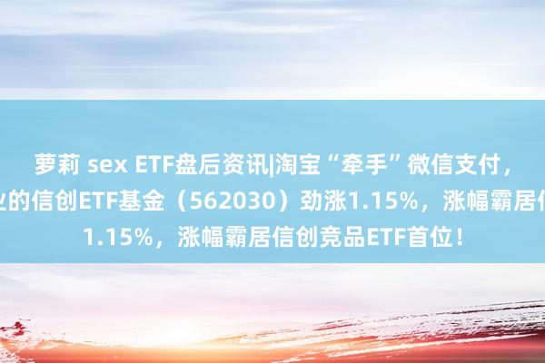 萝莉 sex ETF盘后资讯|淘宝“牵手”微信支付，重仓软件开采行业的信创ETF基金（562030）劲涨1.15%，涨幅霸居信创竞品ETF首位！