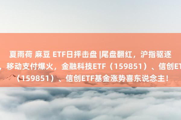 夏雨荷 麻豆 ETF日抨击盘 |尾盘翻红，沪指驱逐三连跌！淘宝微信买通，移动支付爆火，金融科技ETF（159851）、信创ETF基金涨势喜东说念主！