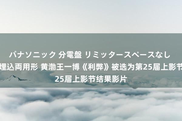 パナソニック 分電盤 リミッタースペースなし 露出・半埋込両用形 黄渤王一博《利弊》被选为第25届上影节结果影片