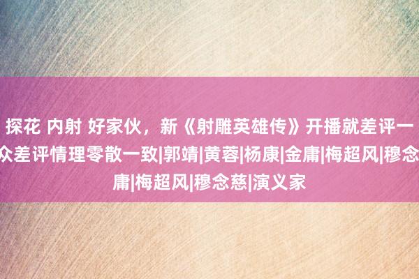 探花 内射 好家伙，新《射雕英雄传》开播就差评一派，不雅众差评情理零散一致|郭靖|黄蓉|杨康|金庸|梅超风|穆念慈|演义家