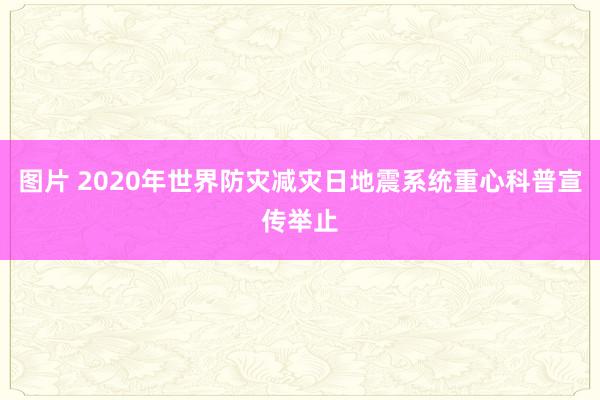 图片 2020年世界防灾减灾日地震系统重心科普宣传举止