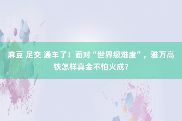 麻豆 足交 通车了！面对“世界级难度”，雅万高铁怎样真金不怕火成？