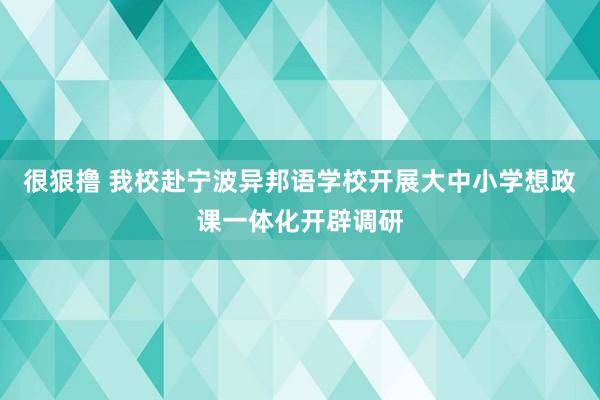 很狠撸 我校赴宁波异邦语学校开展大中小学想政课一体化开辟调研